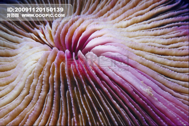 光影+图库+美图