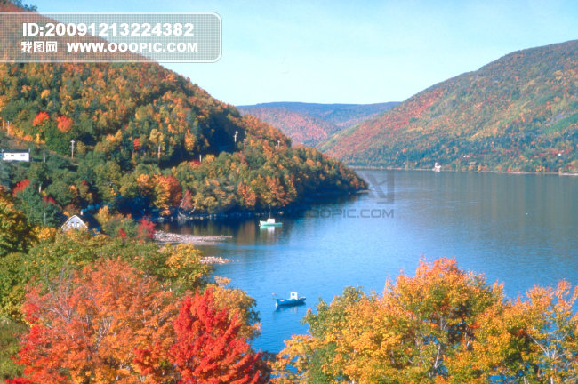 高清壁纸美图下载